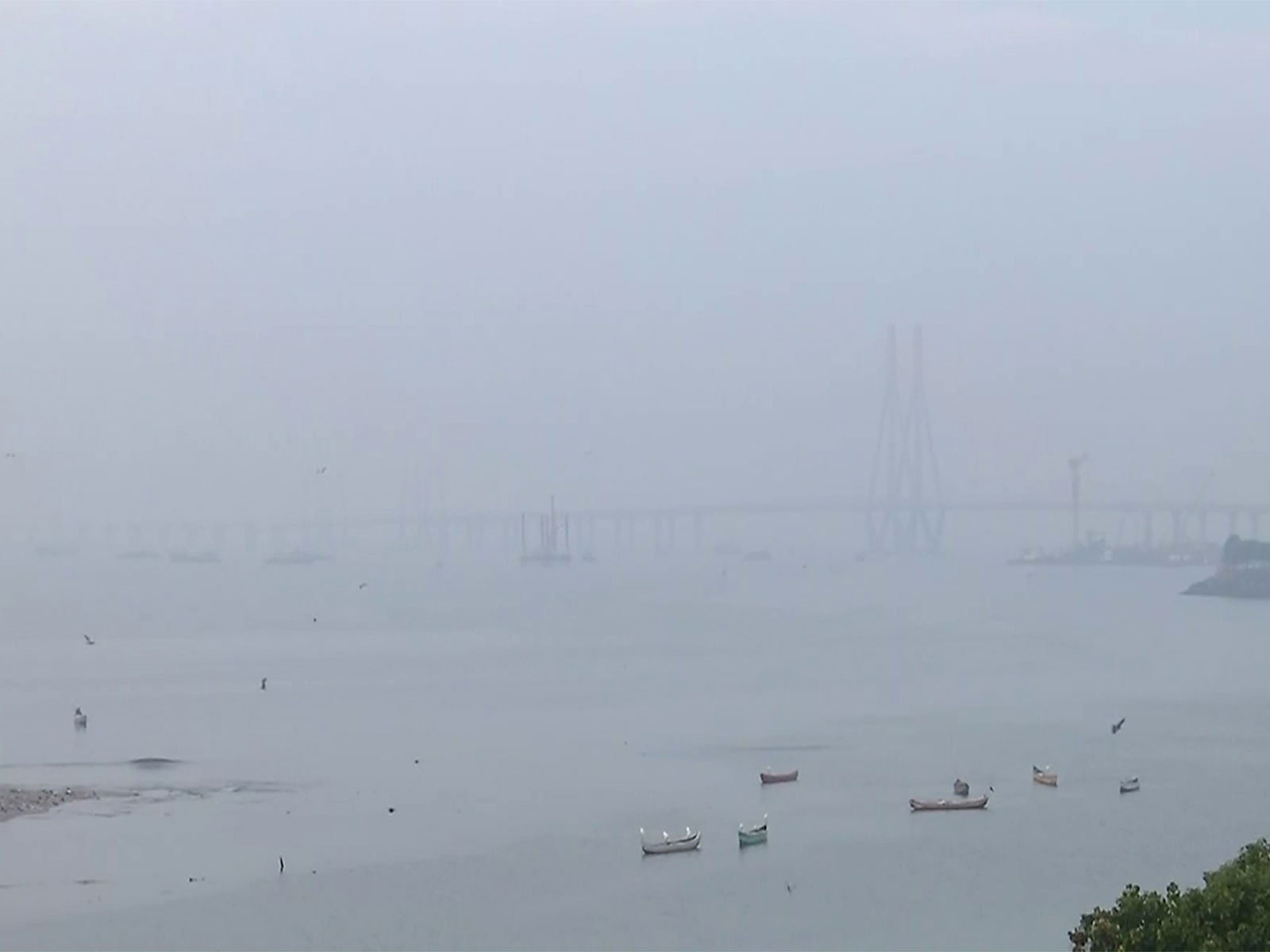 Thick layer of smog in Mumbai's Bandra area(Photo/ANI)
