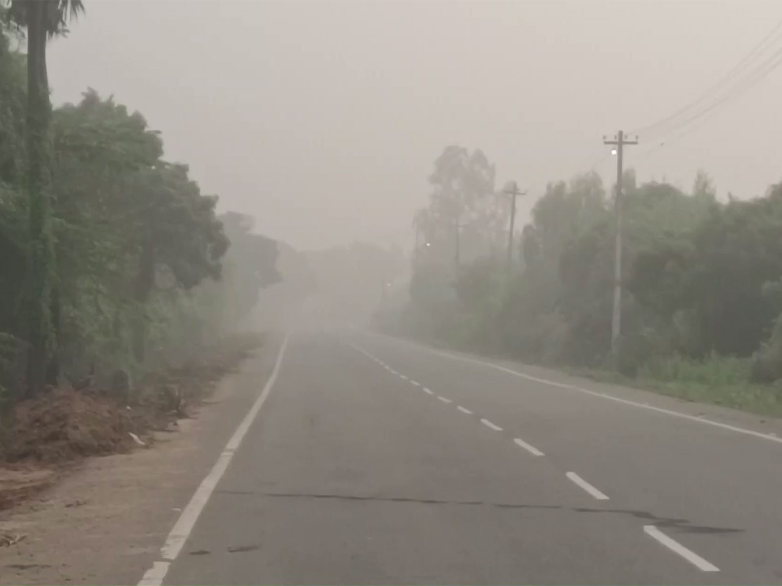 
    Motorists battle near-zero visibility in Chengalpattu
    