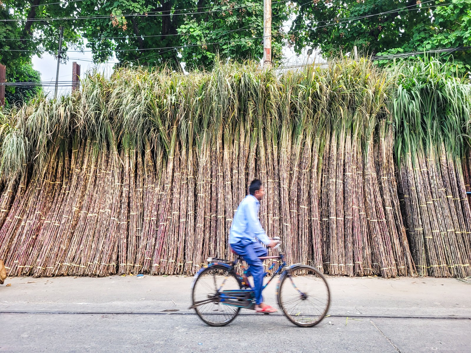 Representative Image (File Photo/ANI)