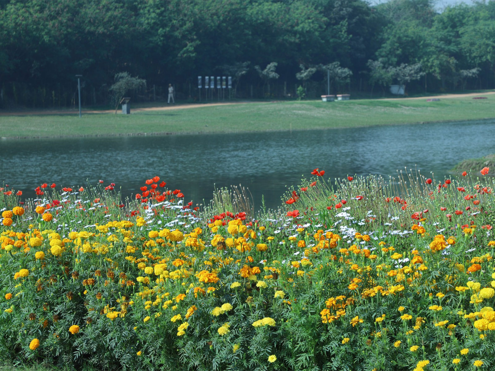 Asita Park, Delhi ( File Photo/@LtGovDelhi)
