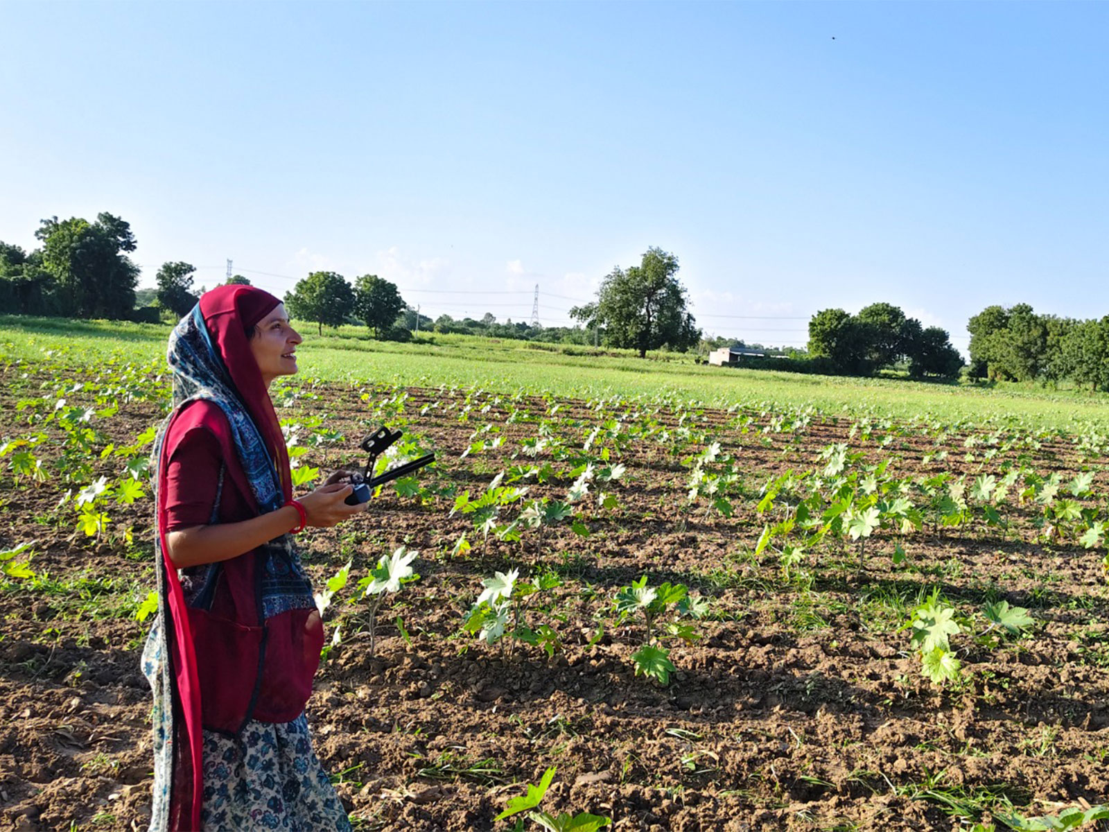 A self-reliant woman in Gujarat (Photo/ANI)
