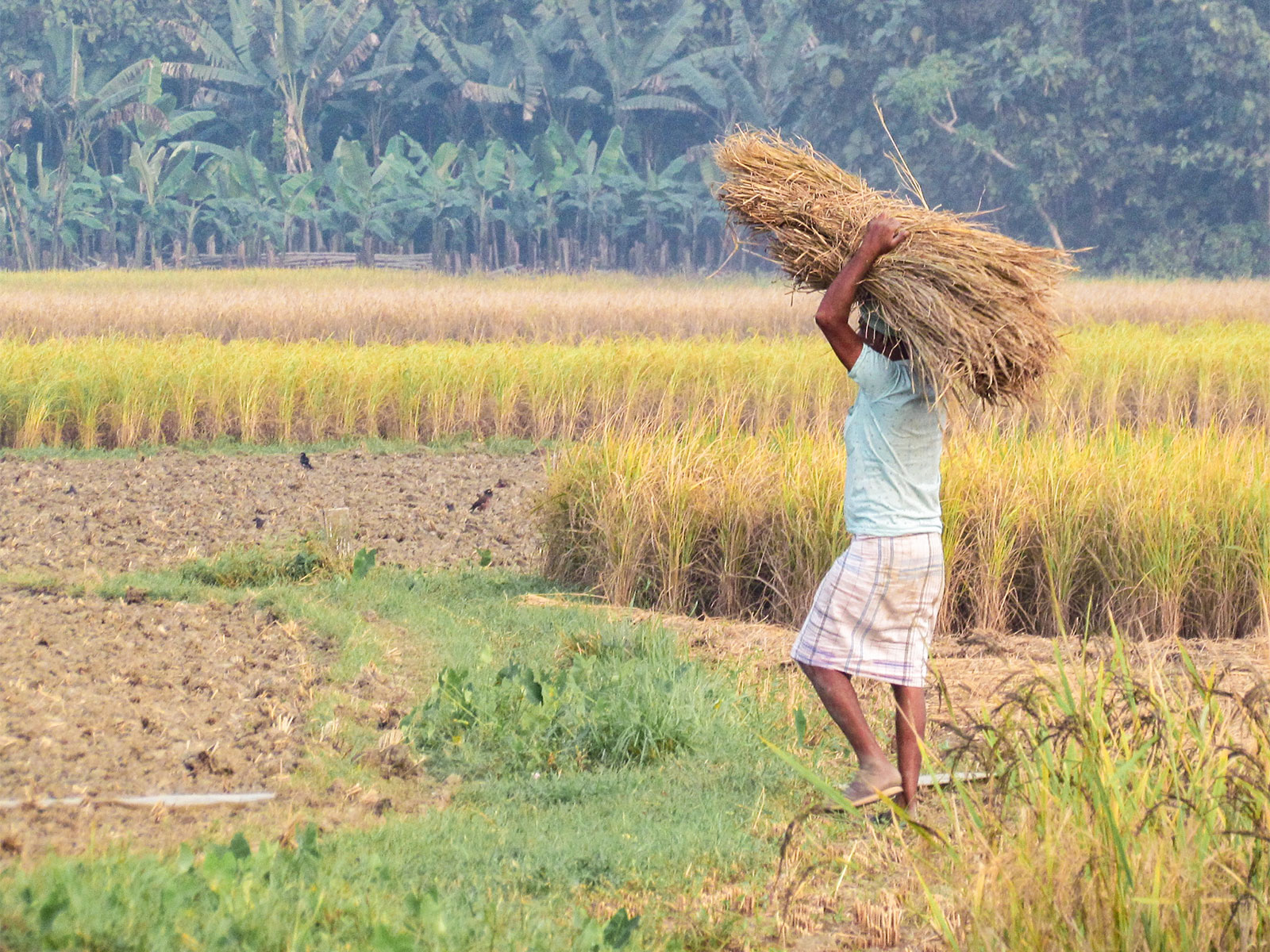 Representative Image (File Photo/ANI)
