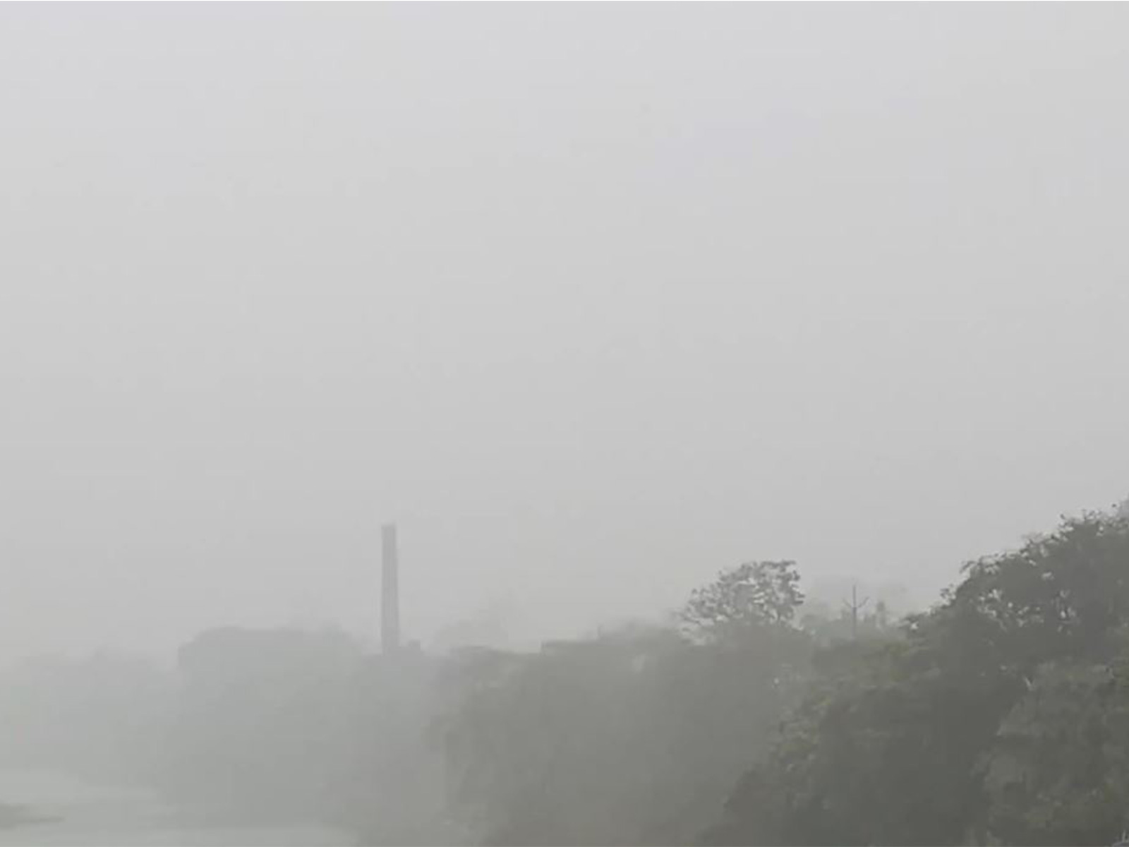 A layer of dense fog blankets West Bengal's Birbhum (Photo/ANI)