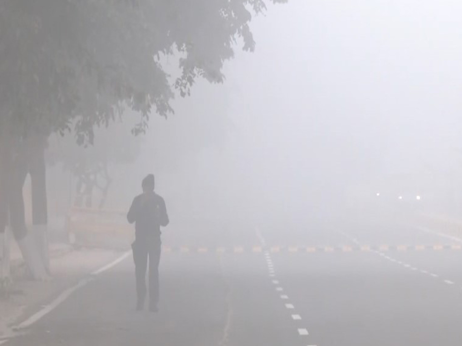 Fog in Jaipur (Photo/ANI)