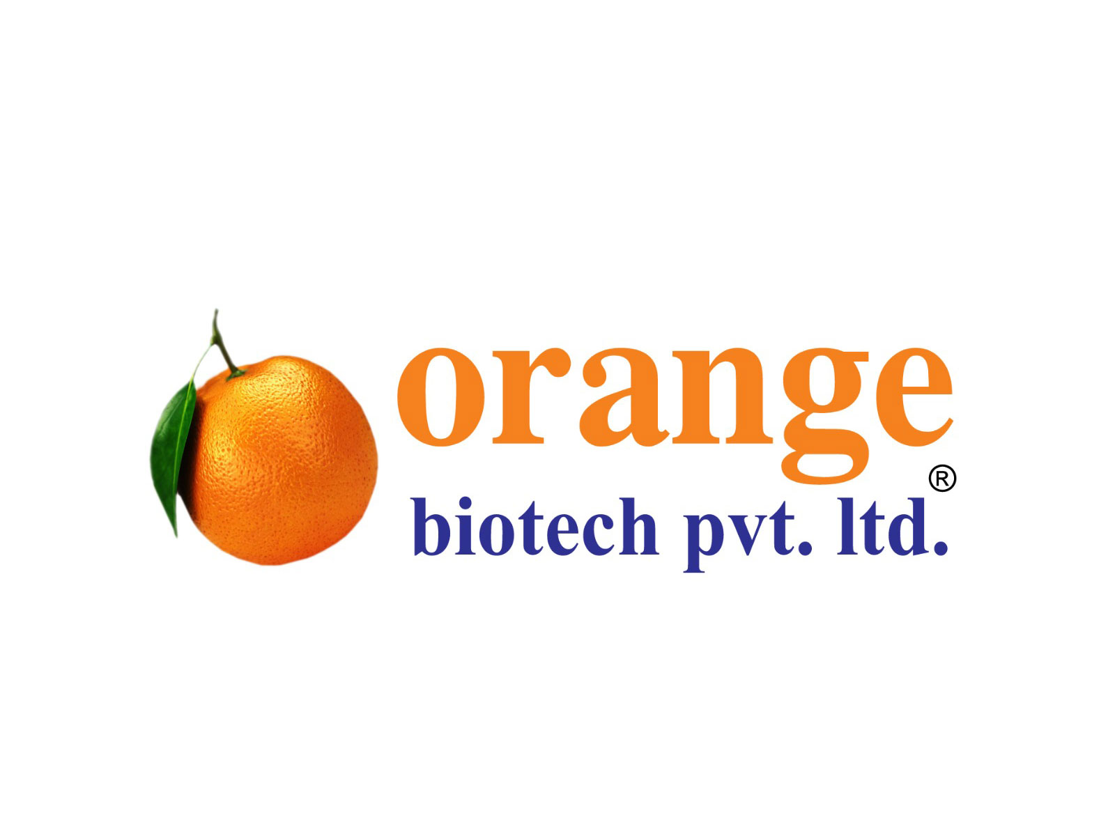 Orange Biotech Private Limited Offers High-Return PCD Pharma Franchise Opportunities Across India