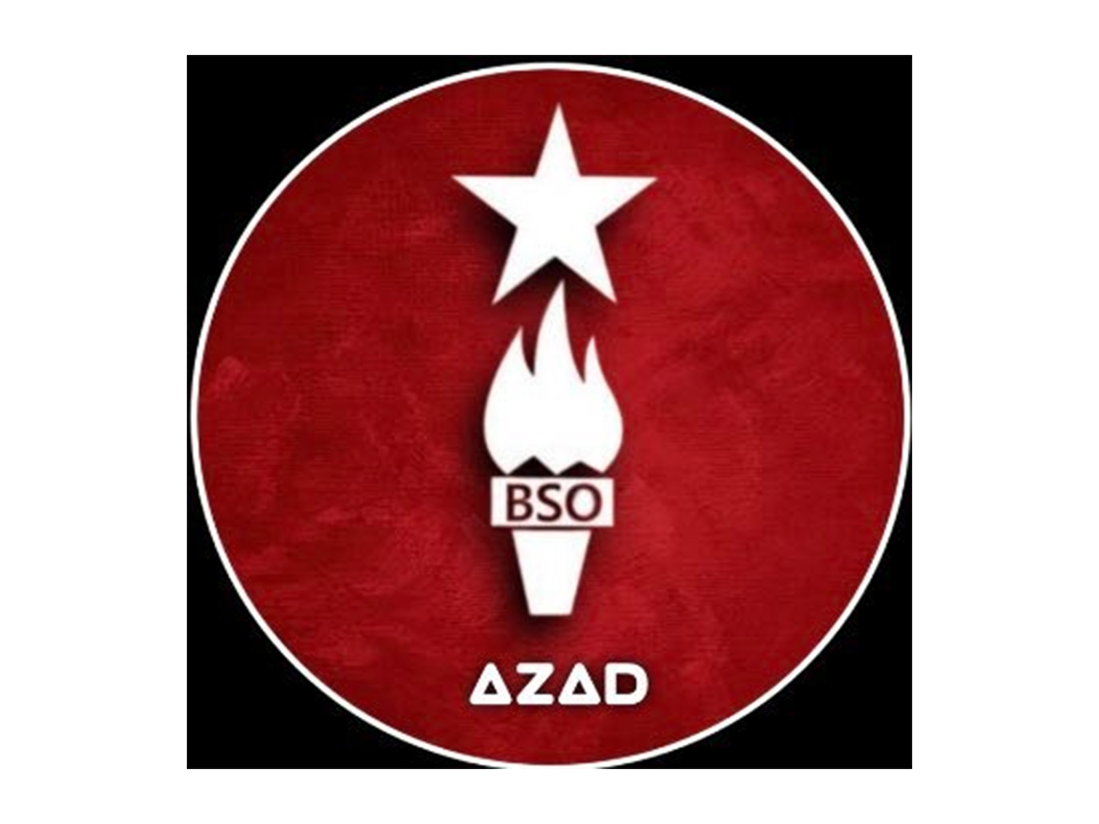 BSO Azad alleges enforced disappearances of Baloch women, calls it ‘worst form of genocide’ (Photo/X@BSO__AZAD)