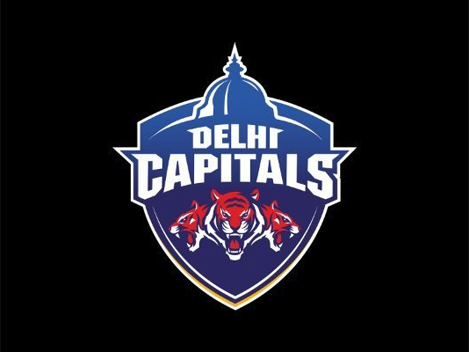 Delhi Capitals logo (Photo: X/@DelhiCapitals)
