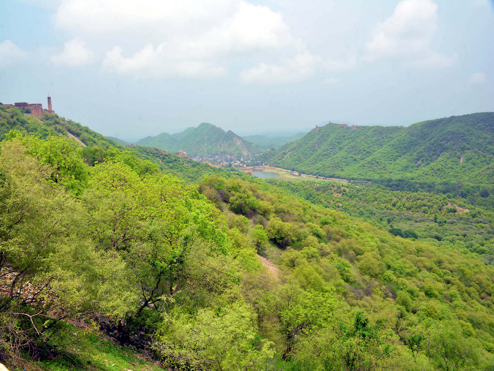 A scenic view of the greenery of the Aravalli hills (File Photo/ANI)