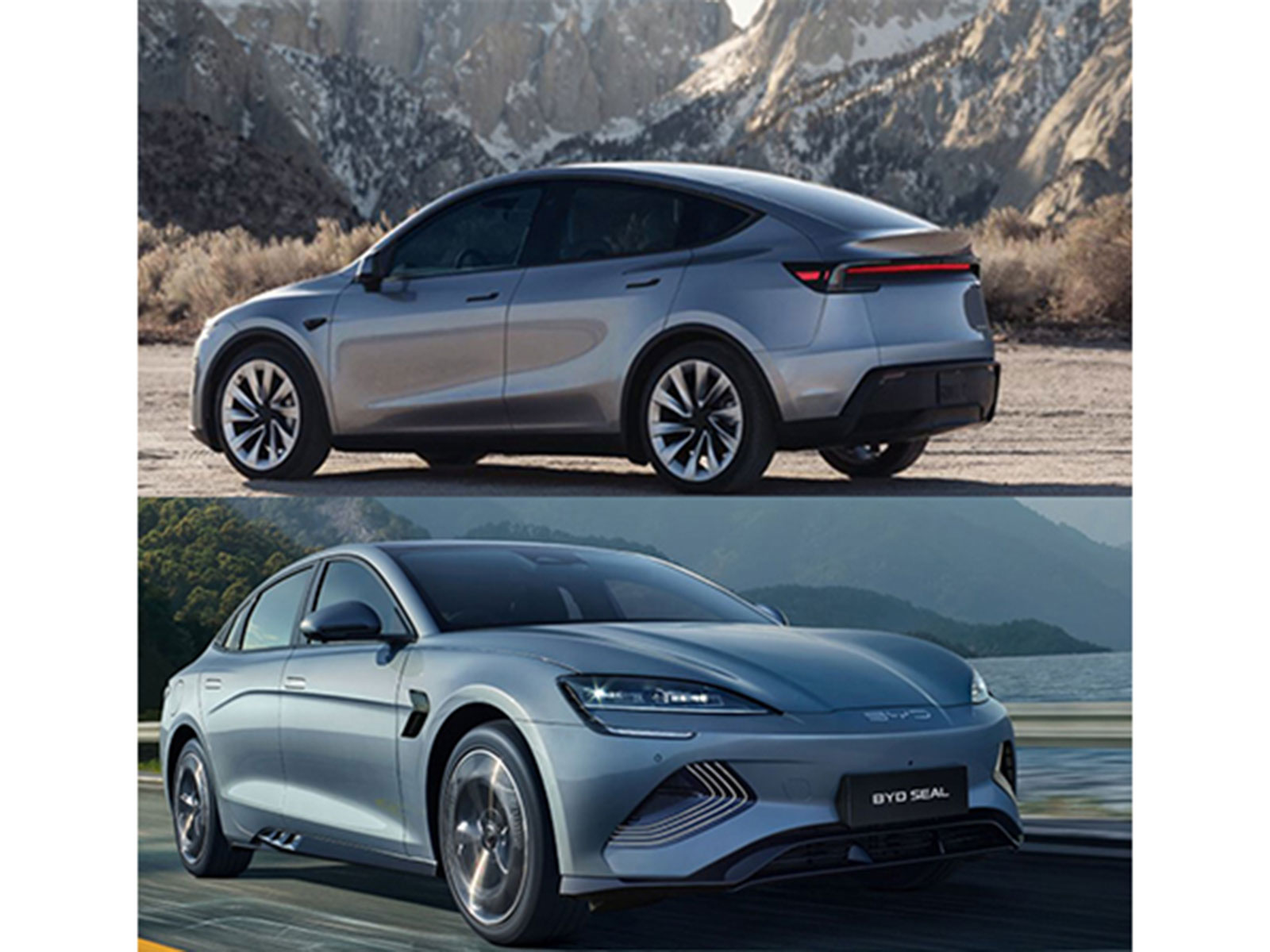 Representative Image (Photo source: Tesla and BYD website)