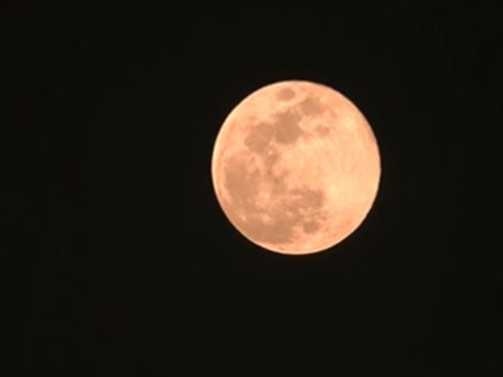 View from the sky (Photo/ANI)