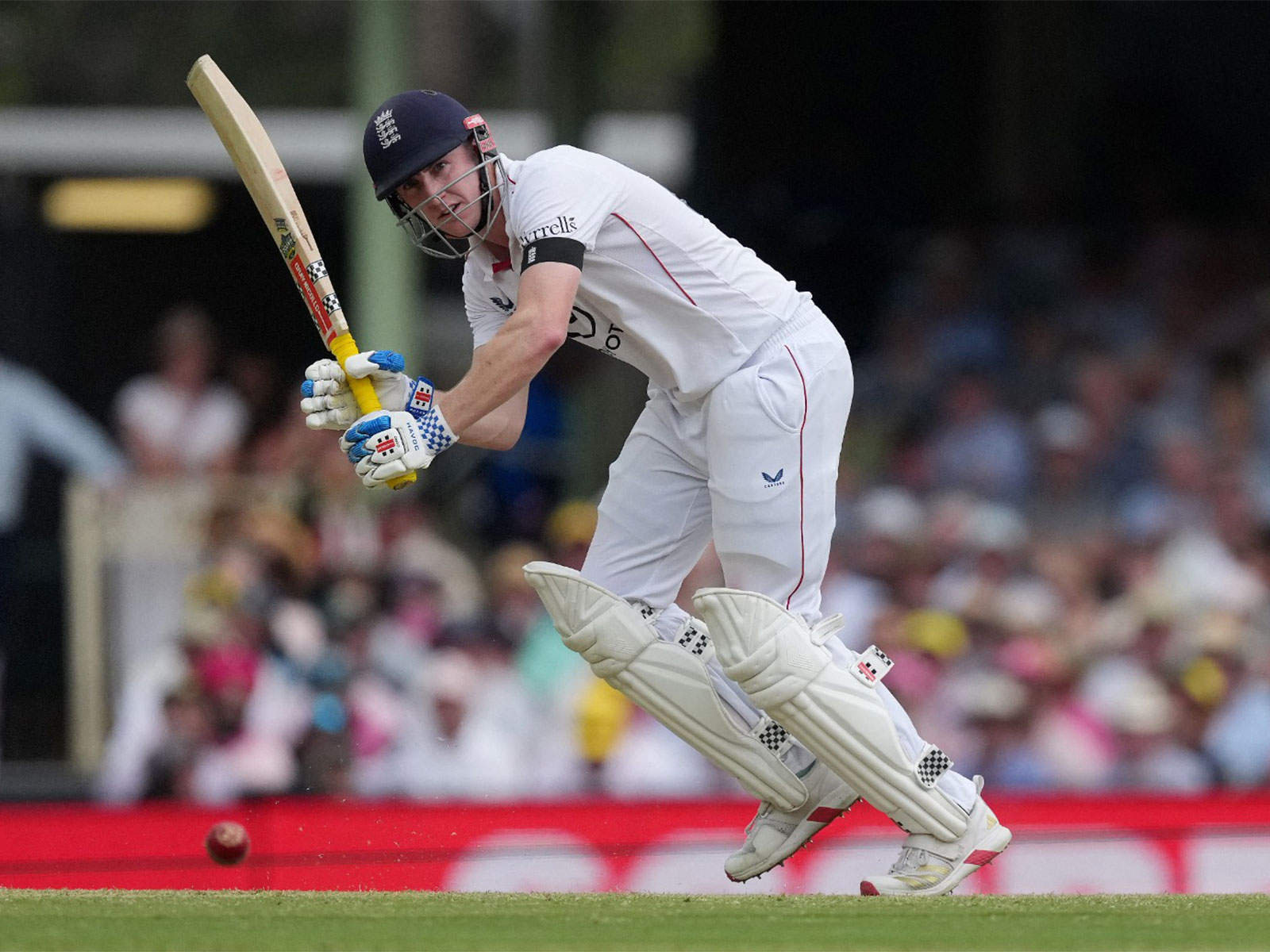 Harry Brook (Photo: Reuters)