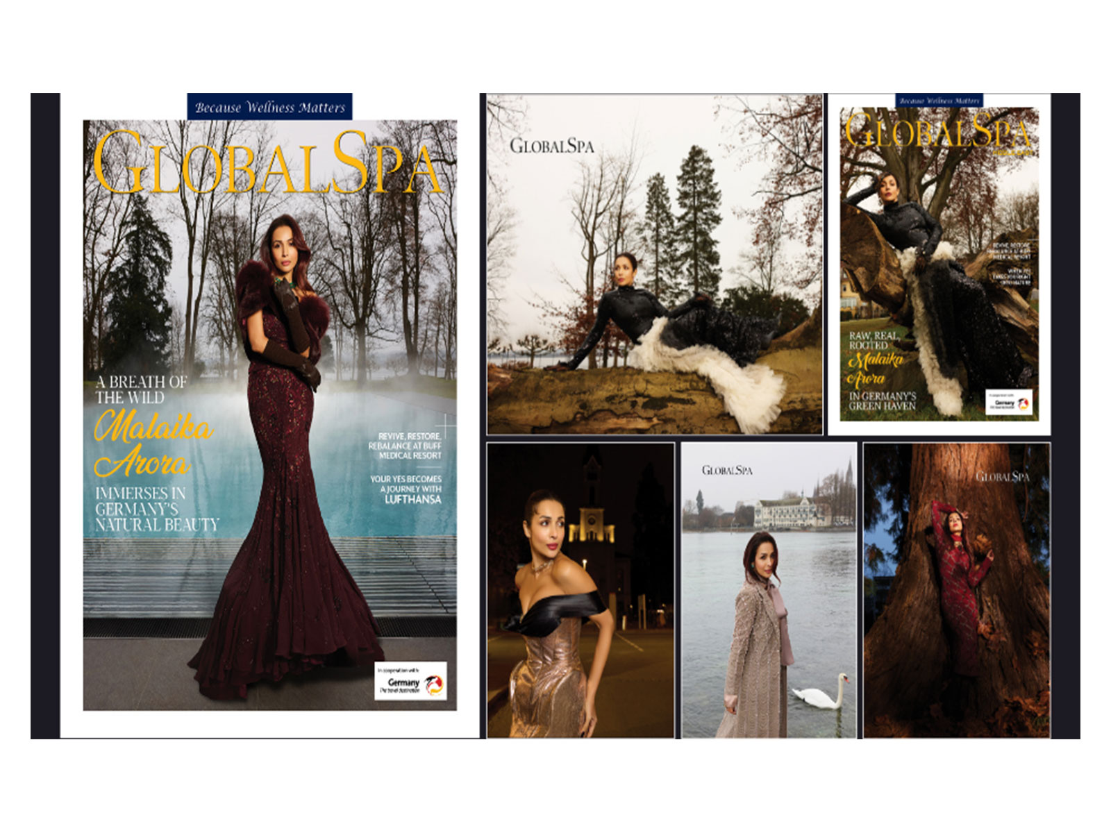 Against the tranquil backdrop of Lake Constance, GlobalSpa Magazine and German National Tourist Office India highlight Germany’s growing appeal as a wellness-led nature destination