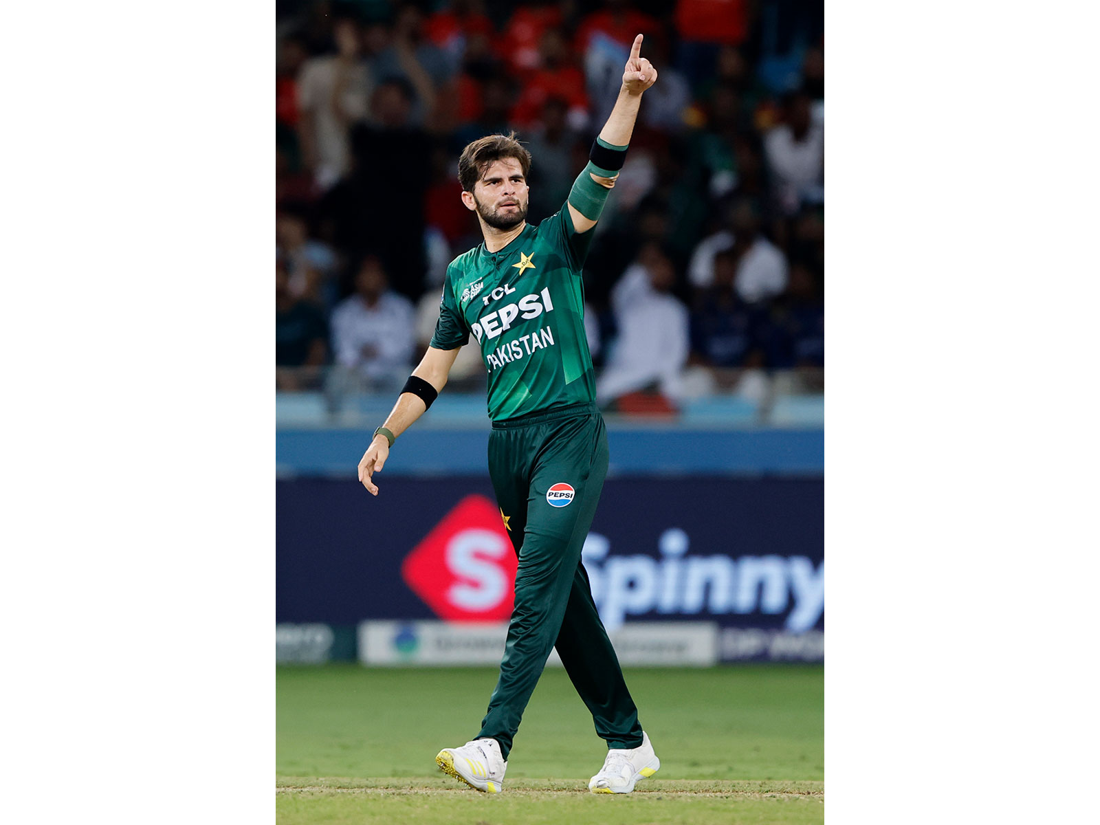 Shaheen Afridi file photo (Photo: ANI)
