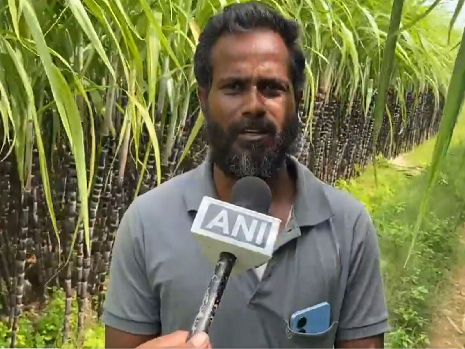 Ganesamoorthy, a sugarcane farmer from Thiruvalar Cholai (Photo/ANI)