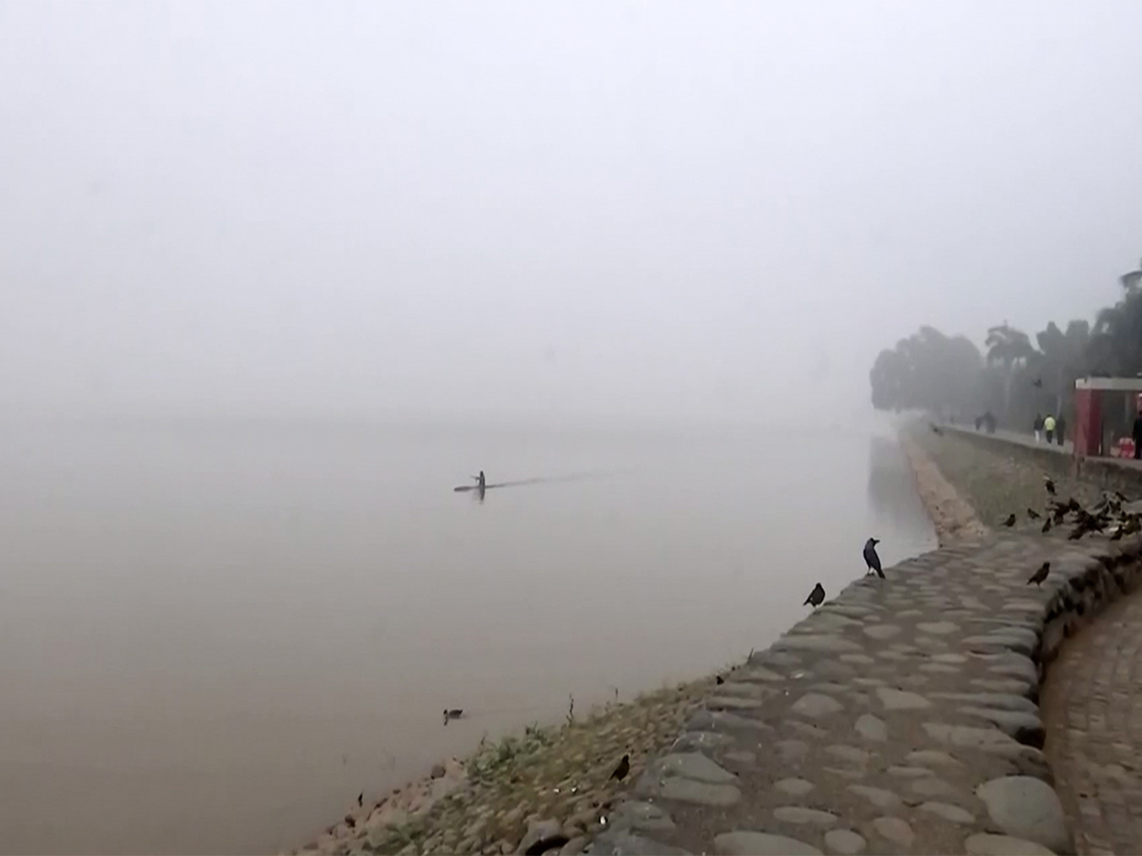 Foggy morning in Chandigarh (Photo/ANI)