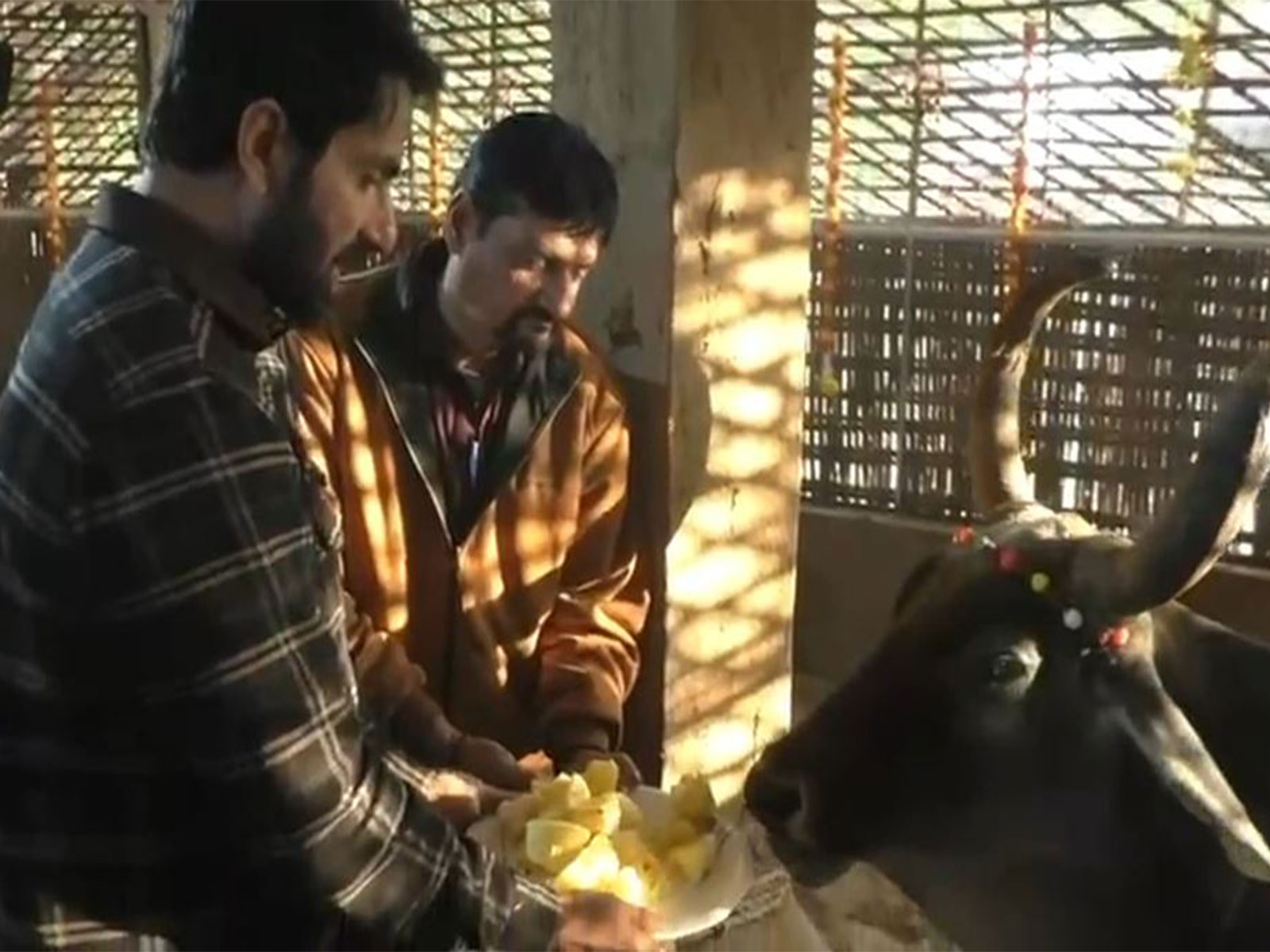 Sonu Sood visits Varahi Gaushala (Photo/ANI) Sonu Sood visits Varahi Gaushala (Photo/ANI)