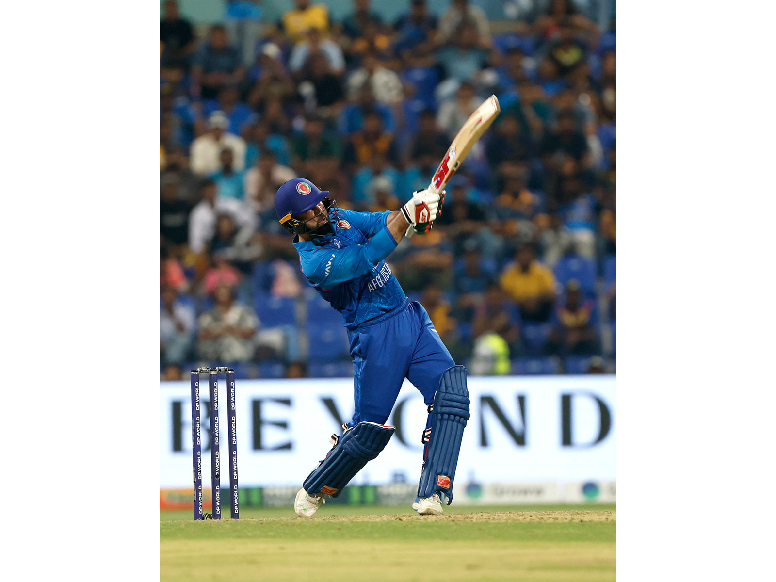 Mohammad Nabi (Photo/ANI)