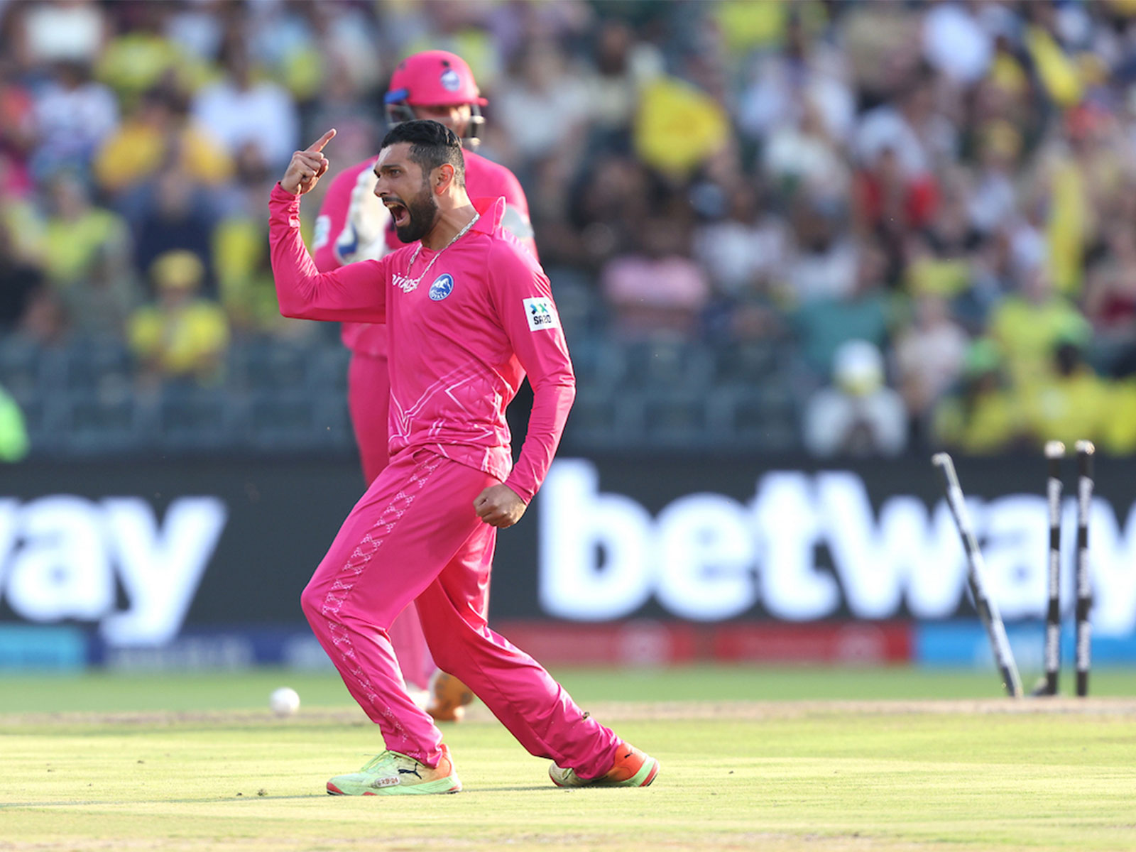 Sikandar Raza of Paarl Royals celebrates the wicket of Faf Du Plessis (Photo: SA20)