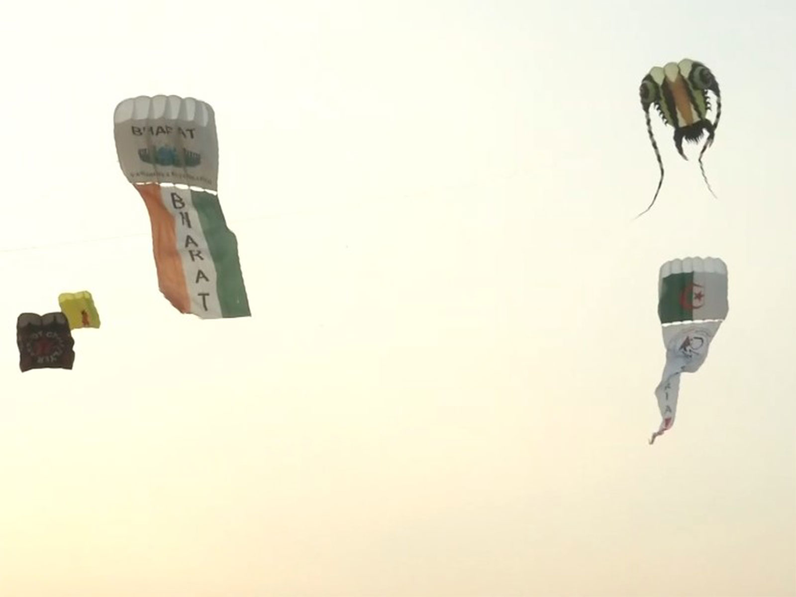 Global kite festival hosted at Hyderabad (Photo/ANI)