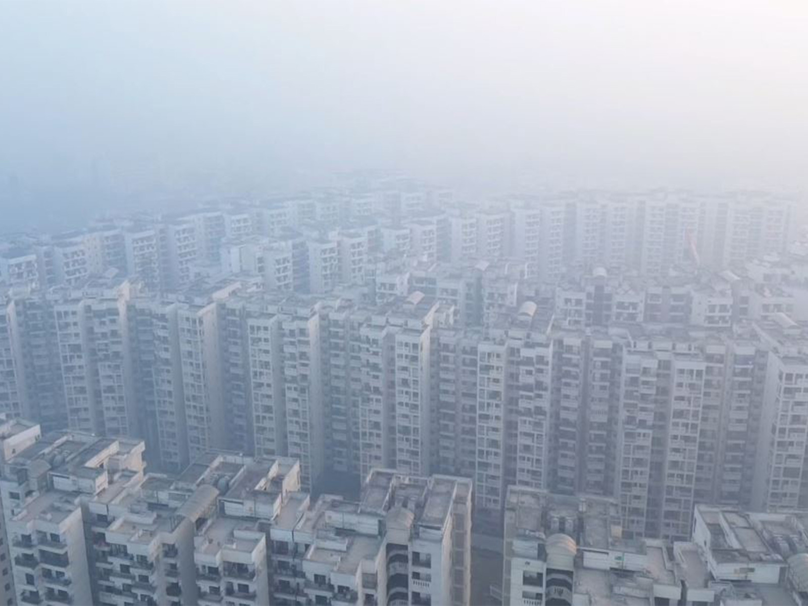 Visual from AIIMS as cold wave grips the national capital (Photo/ANI)