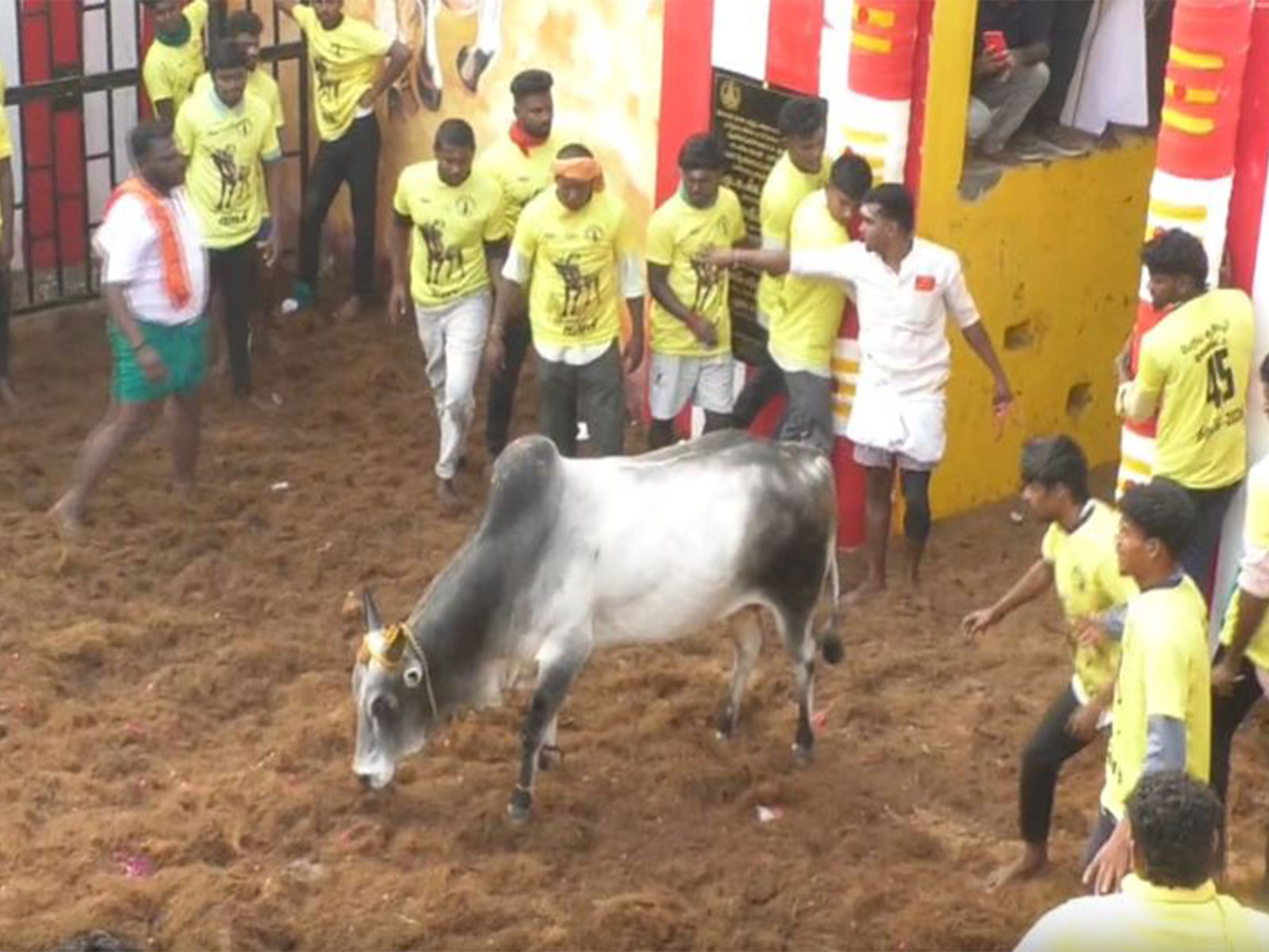 Jallikattu in Trichy, Tamil Nadu (Photo/ANI) Jallikattu in Trichy, Tamil Nadu (Photo/ANI)