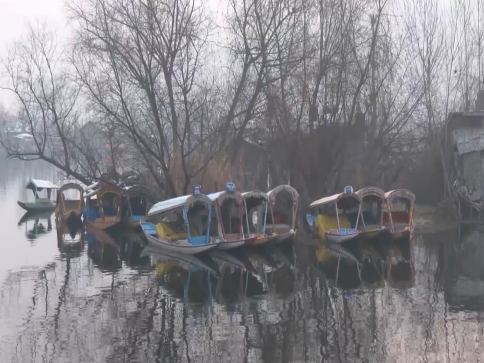 
    Cold wave grips Kashmir; tourists enjoy winter charm at Dal Lake
    