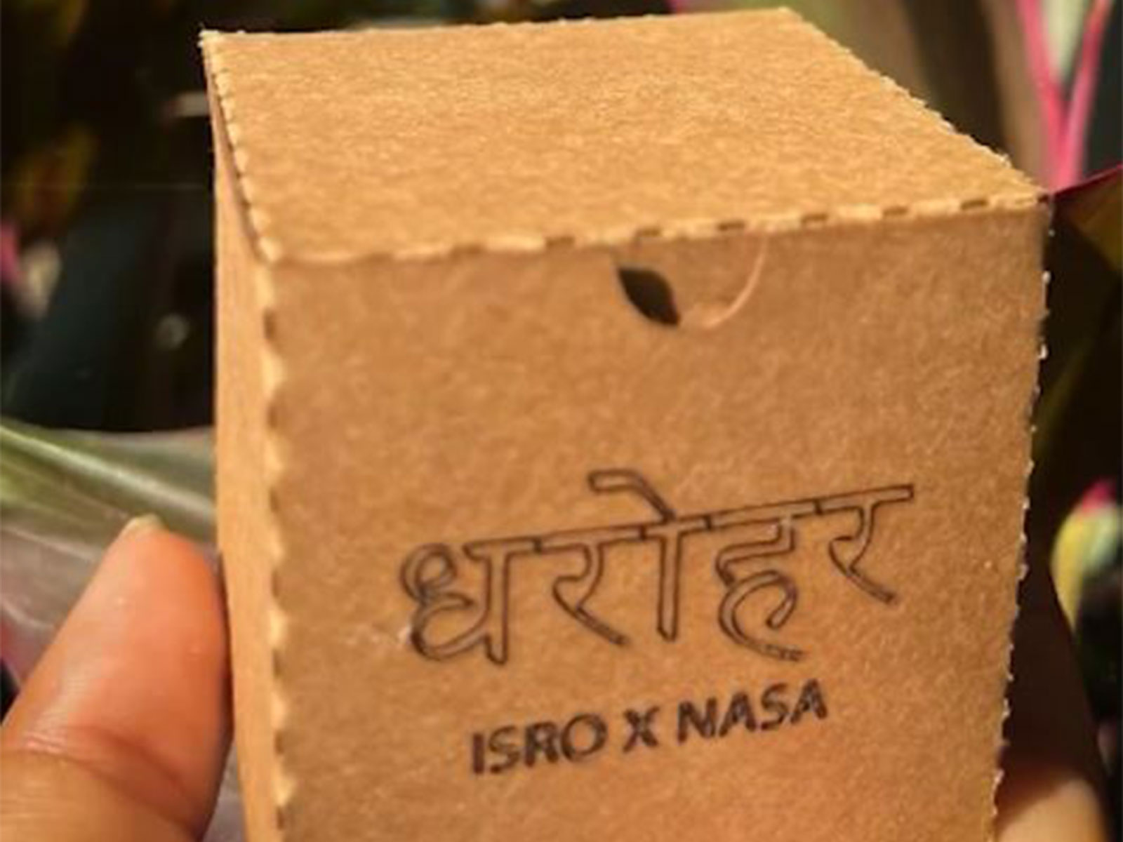 Dharohar Deck (Photo/X@gagan_shux)