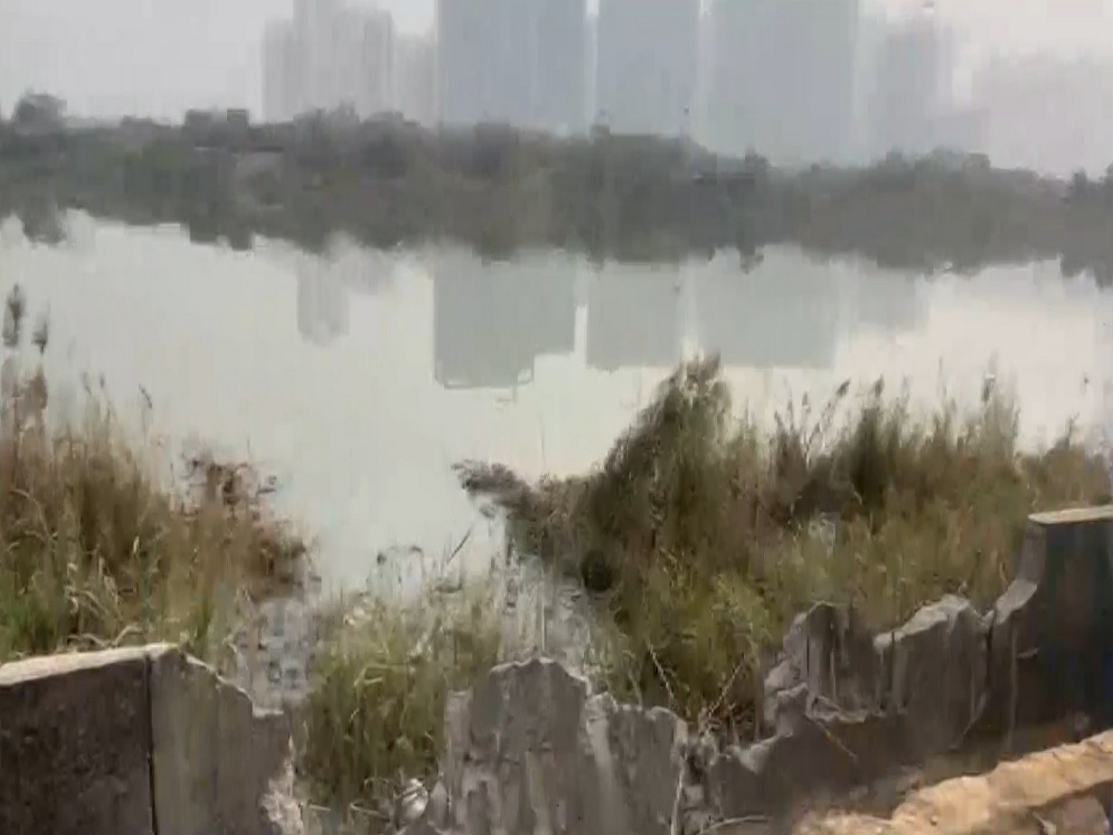 Visuals of the drain at the Sector-150  (Photo/ANI)