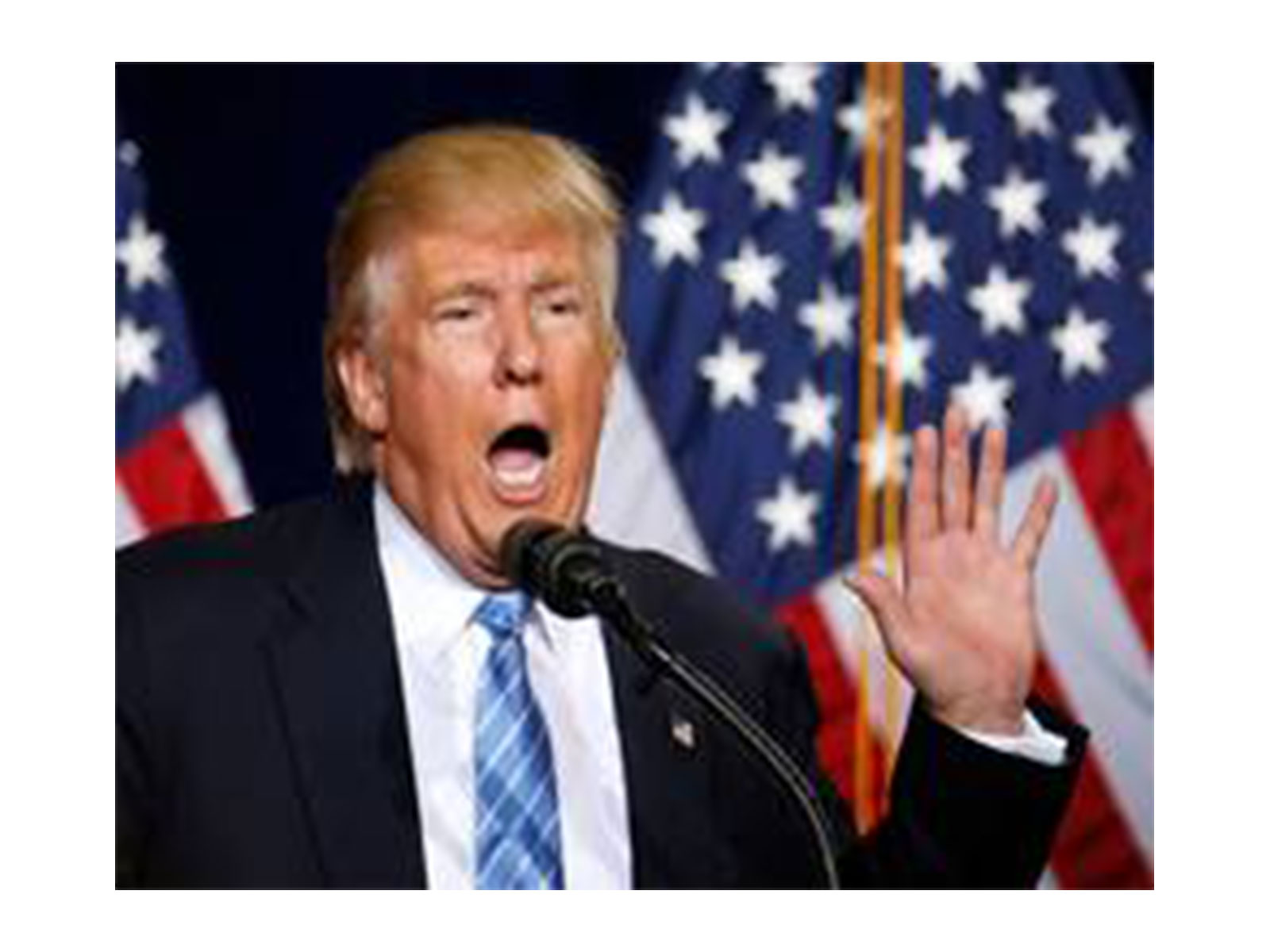 US President Donald Trump (Photo/Reuters)