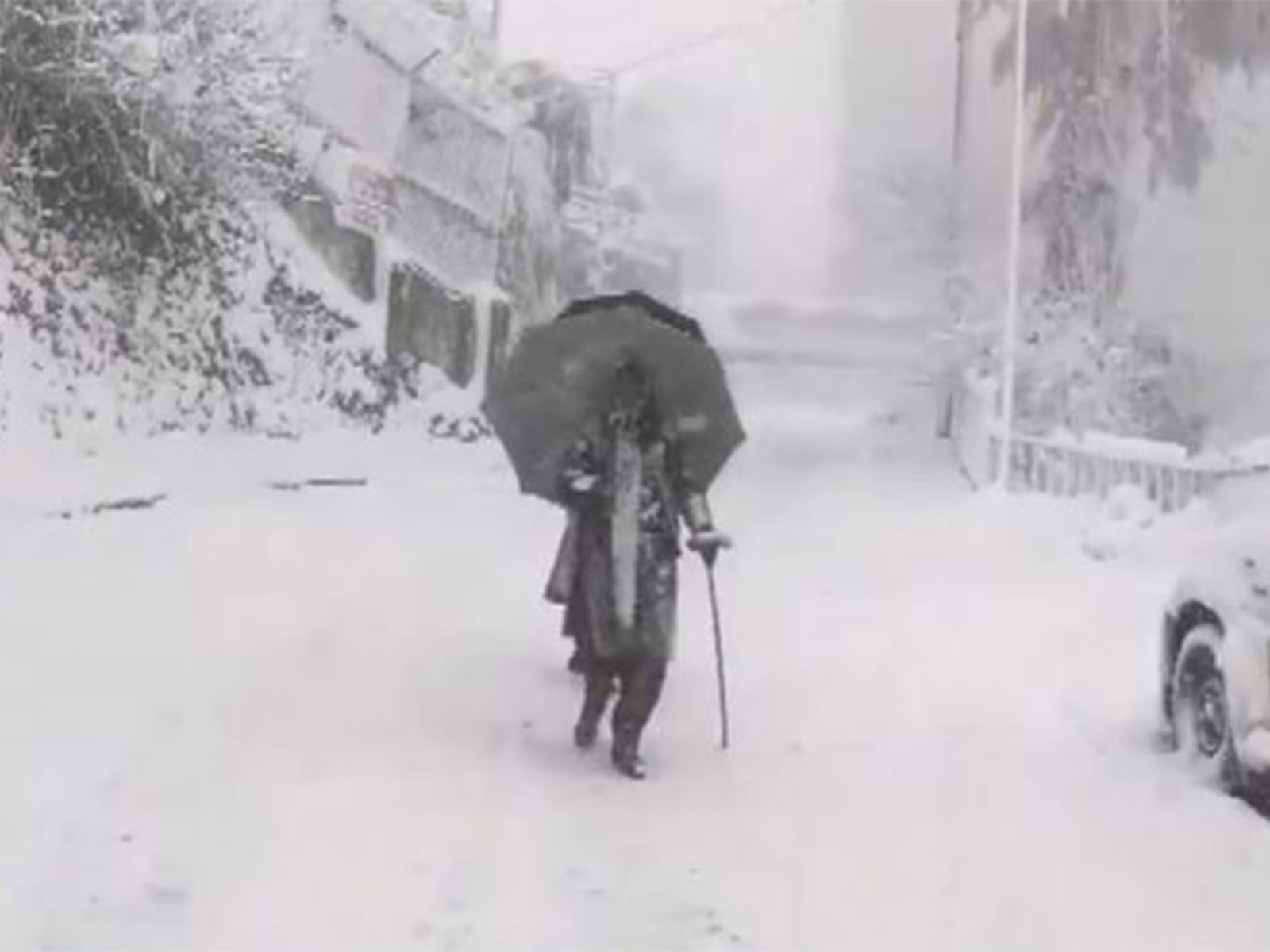 Shimla's scenic landscape turns white as the city continues to receive heavy snowfall (Photo/ANI)