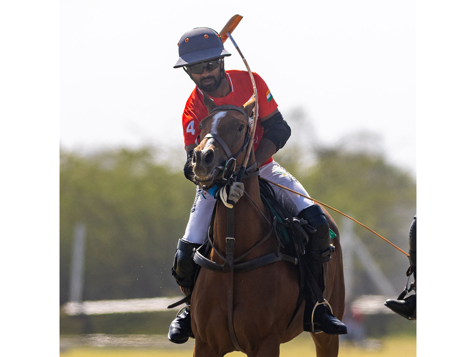 Jindal Bedla vs V Polo in action. (Photo: Jindal Polo)