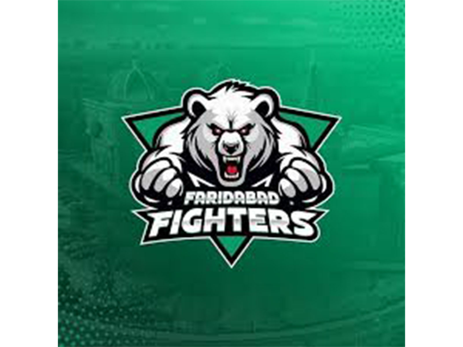 Faridabad Fighters logo (Photo: KCL)