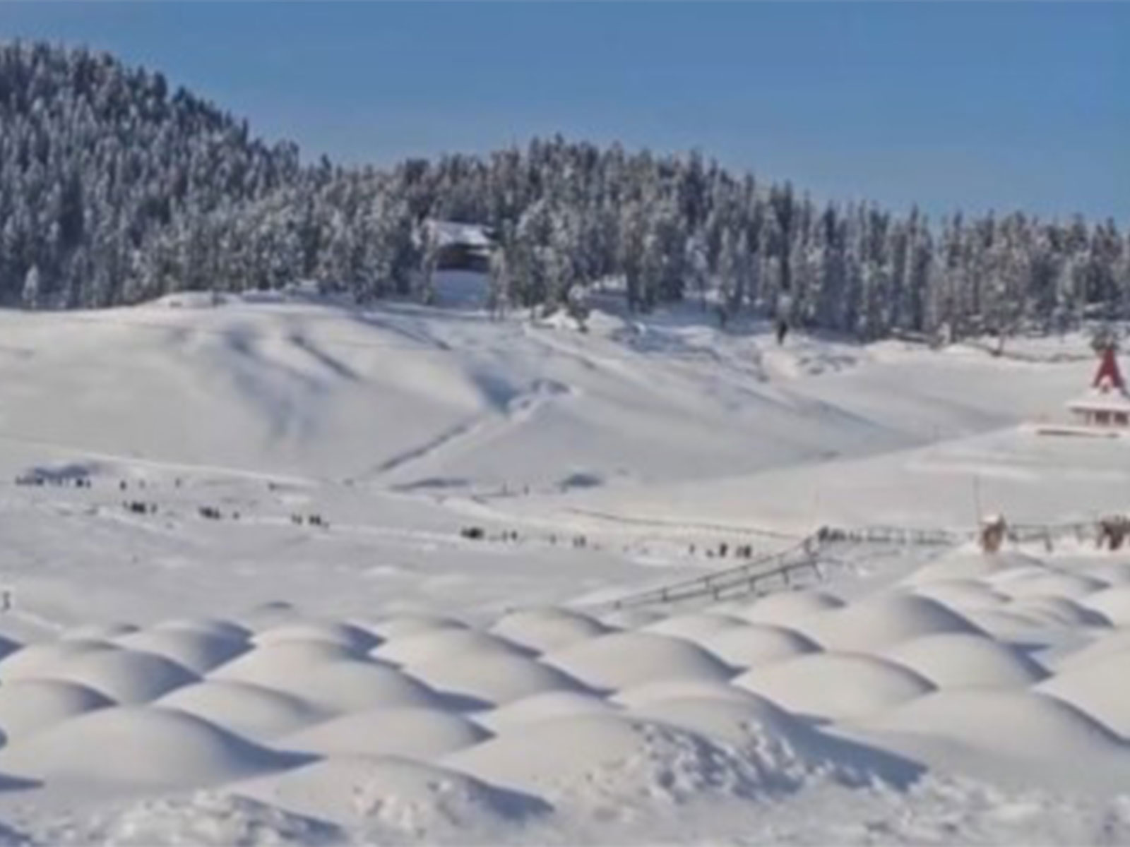 Snowfall in Jammu and Kashmir (File Photo/ANI)