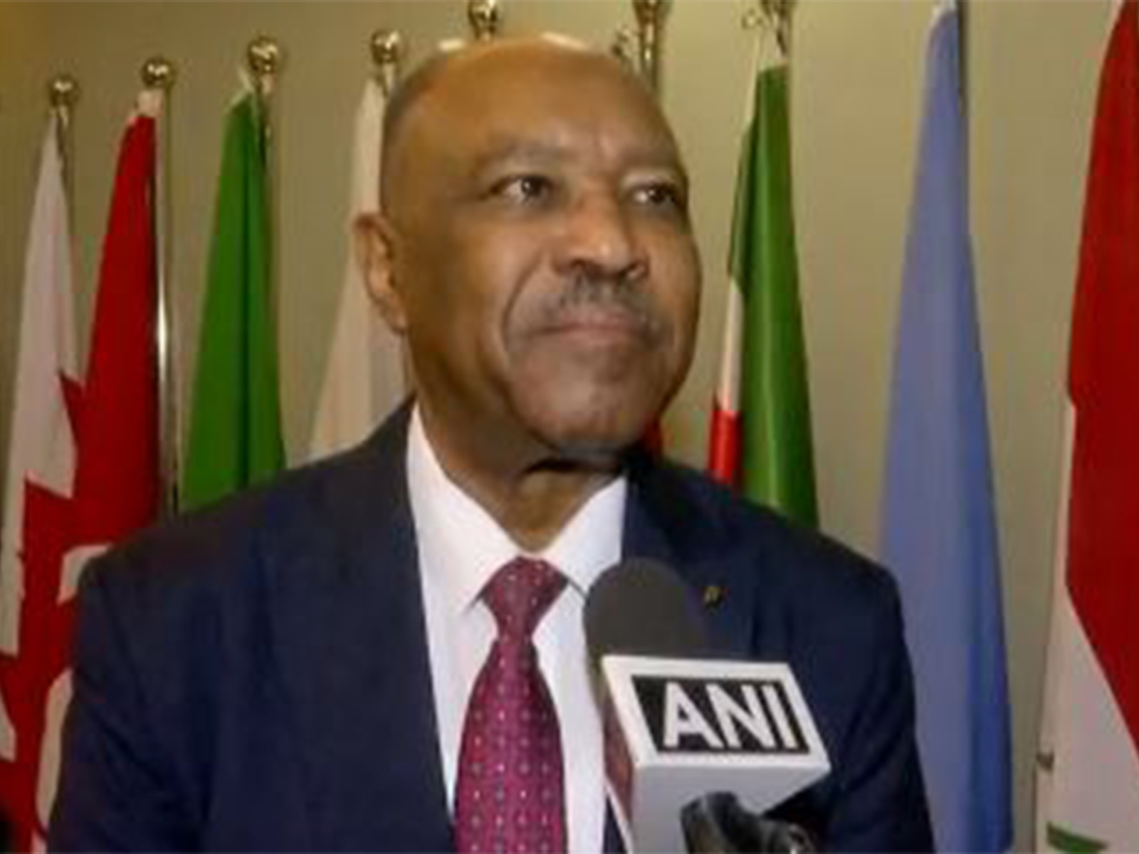 Sudan's Foreign Minister Mohieldin Salim Ahmed Ibrahim (Photo/ANI) Sudan's Foreign Minister Mohieldin Salim Ahmed Ibrahim (Photo/ANI)