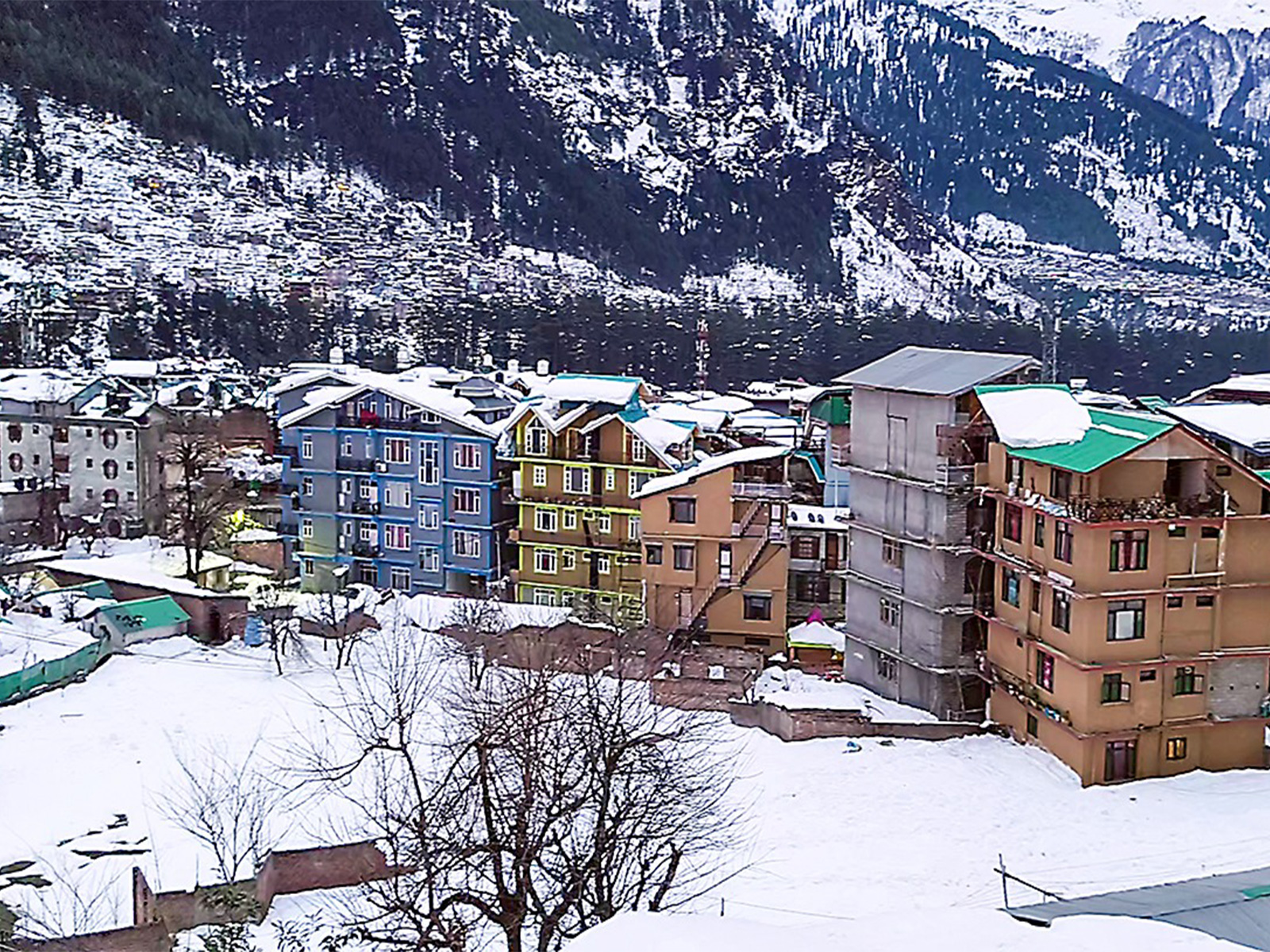 A view of a snow-covered landscape following a fresh spell of snowfall, in Manali (Photo/ANI)