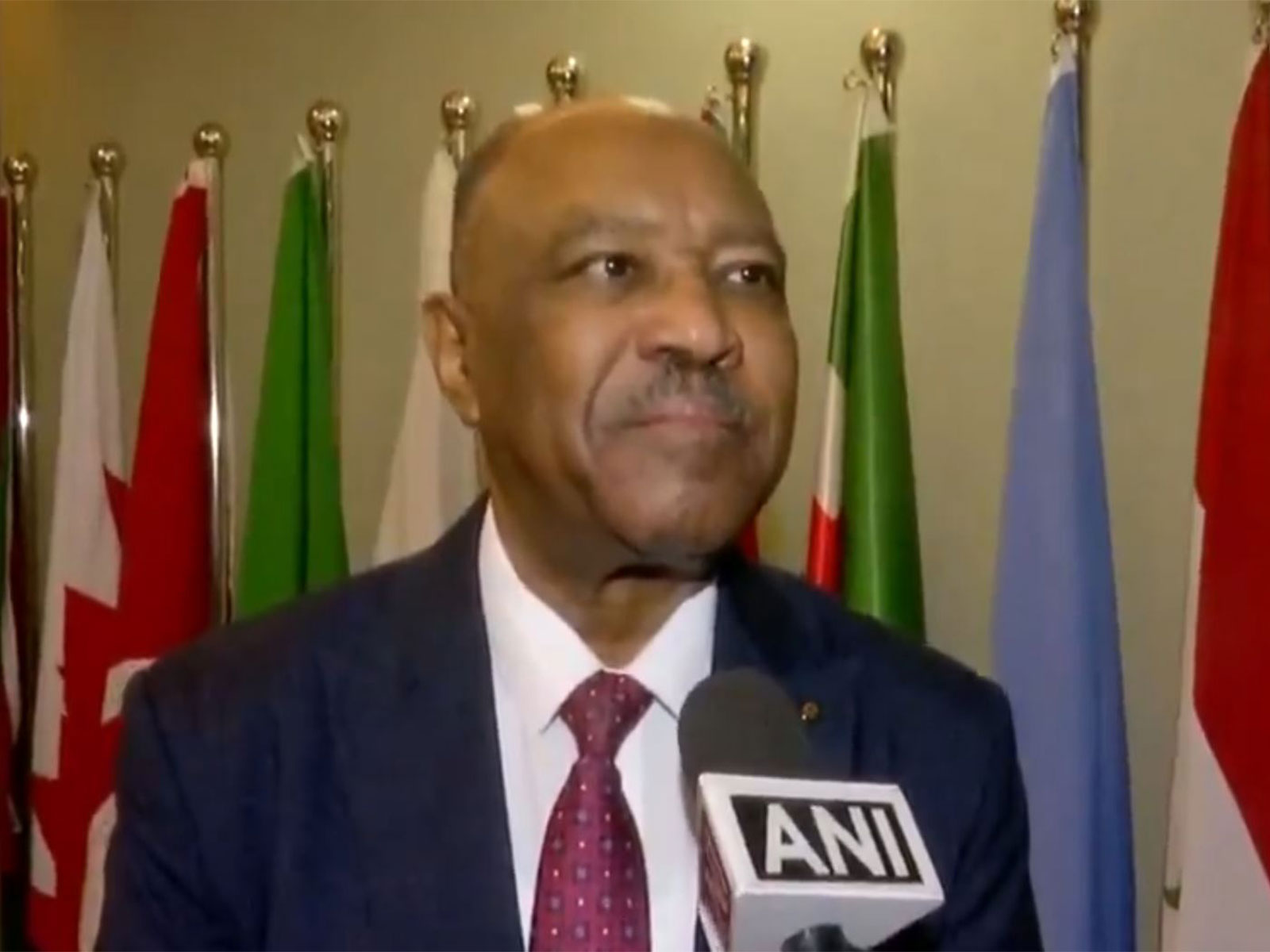 Sudan's Foreign Minister Mohieldin Salim Ahmed Ibrahim. (Photo/ANI)