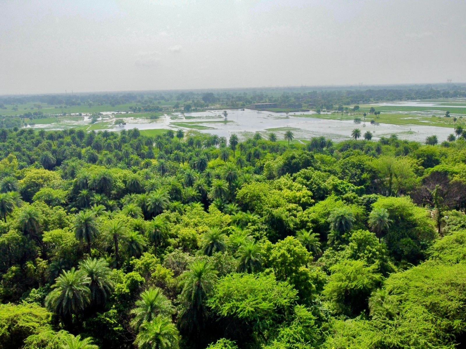 Visuals from one of the newly designated Ramsar sites (Photo/@byadavbjp)