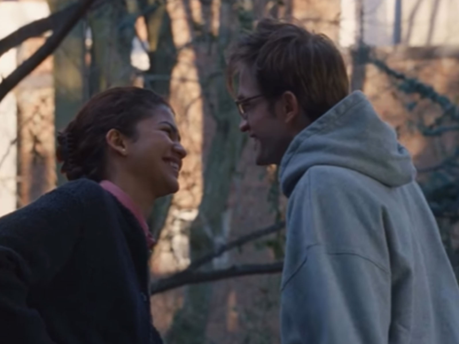 A snip from the trailer (Photo/instagram/@pvrpictures)