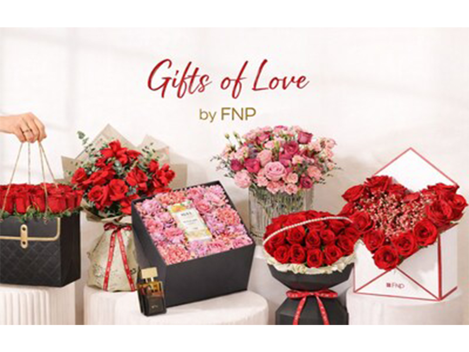 FNP launches its Valentine’s Day collection, bringing together timeless roses and thoughtfully curated gifts to make every love story bloom.