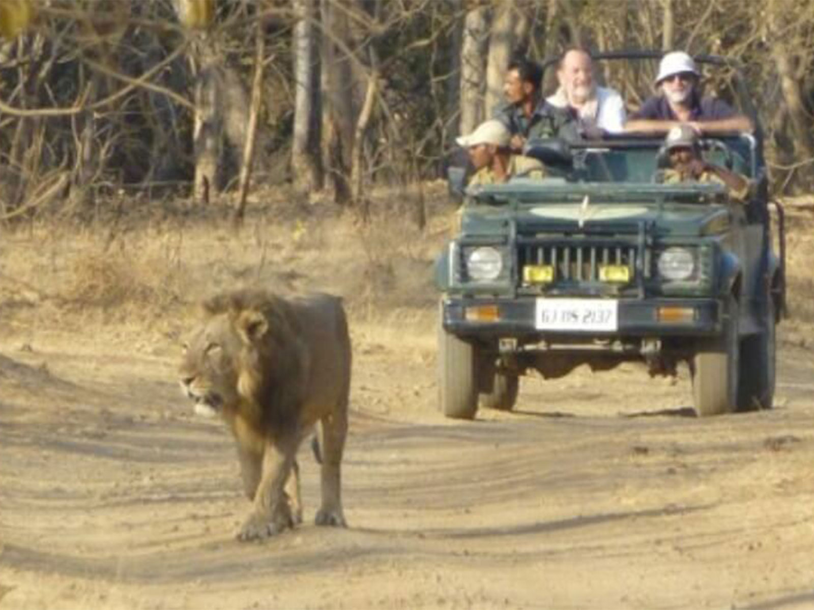 Tourists visit Gir National Park in Gujarat (Photo/ Gujarat CMO)