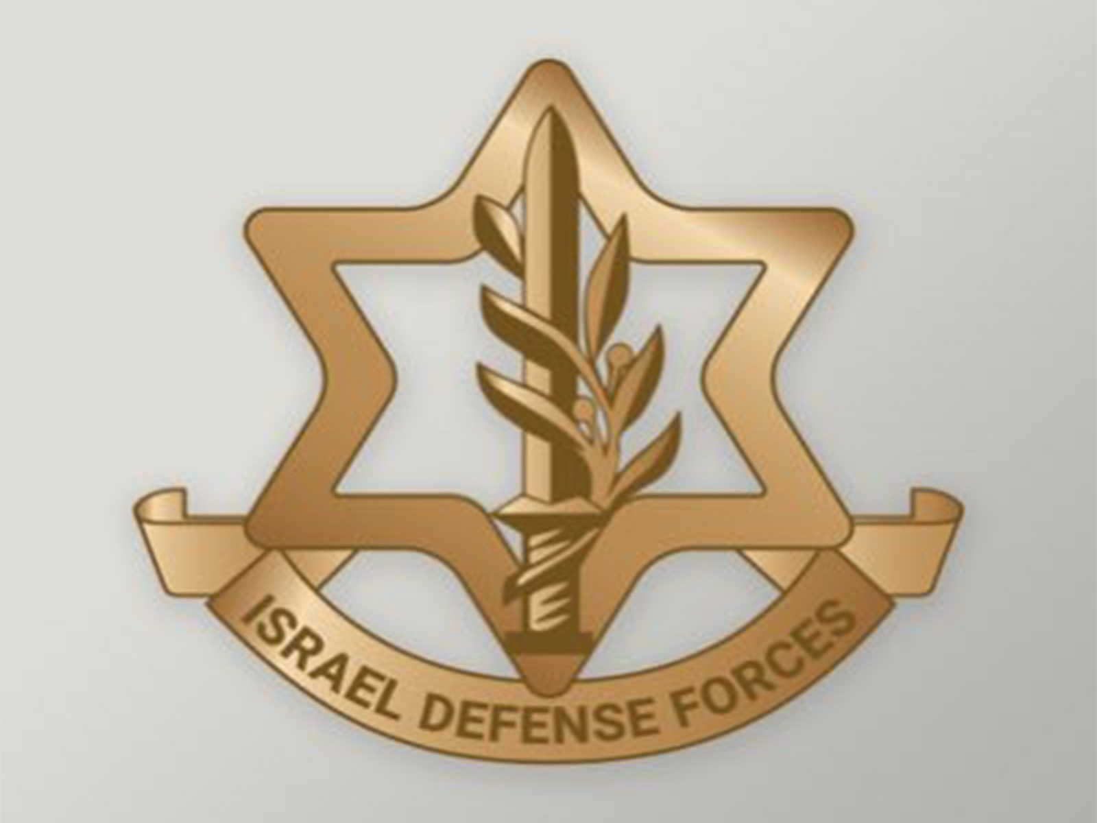 Representative Image (File Photo/X/@IDF) Representative Image (File Photo/X/@IDF)