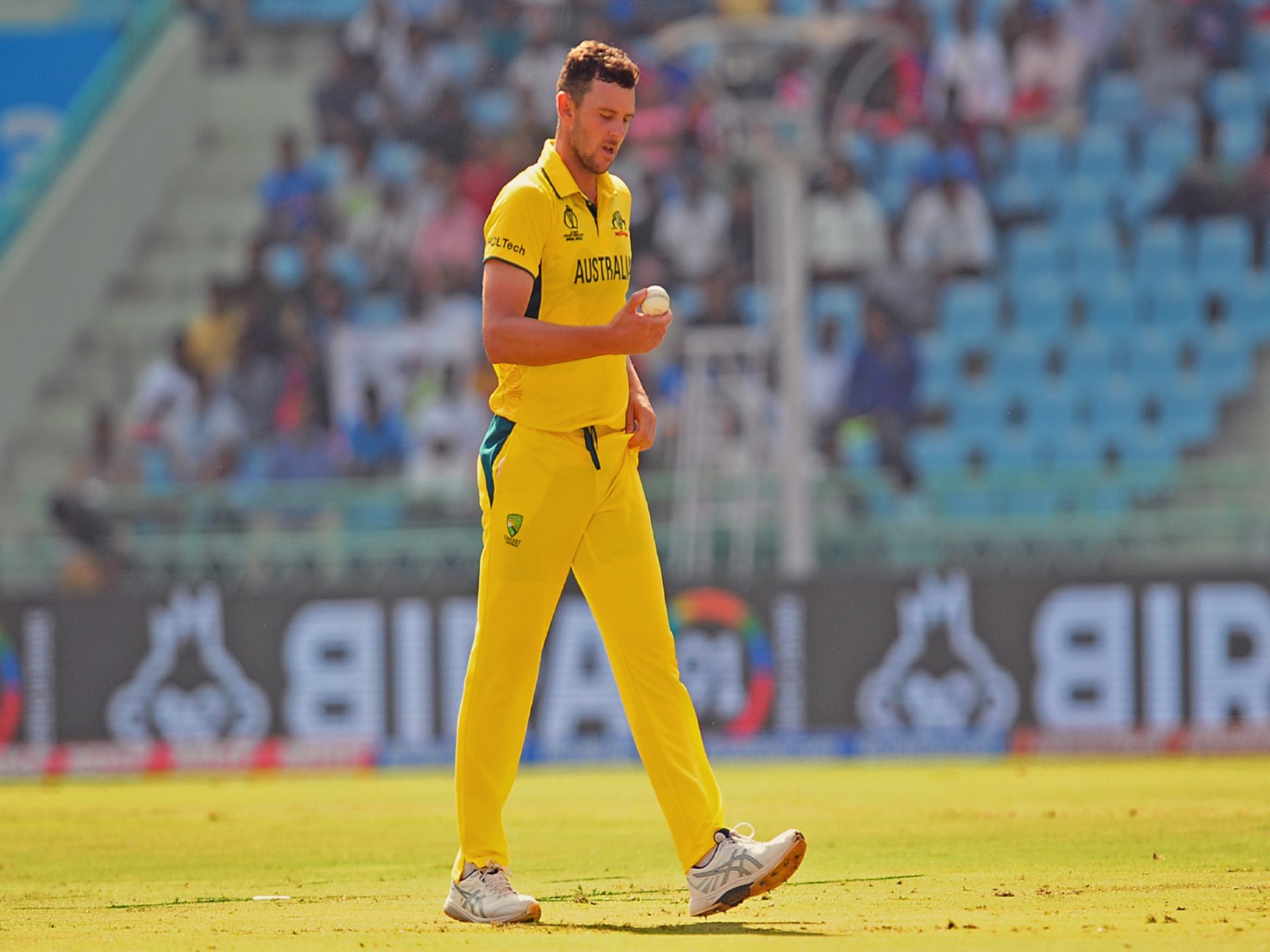 
    Josh Hazlewood ruled out of T20 World Cup 2026
    