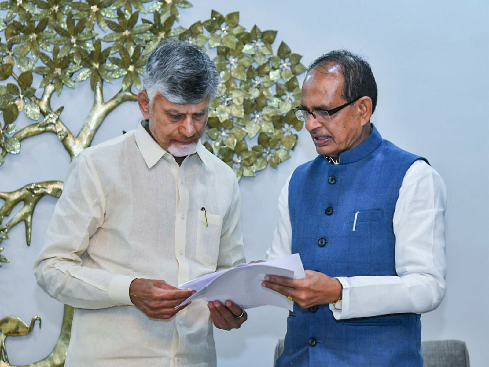 Andhra Pradesh Chief Minister N Chandrababu Naidu and Union Agriculture Minister Shivraj Singh Chouhan. (File Photo/ANI)