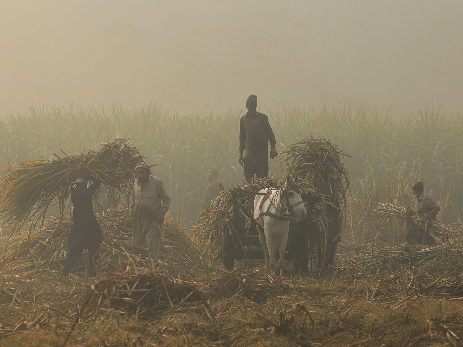 Representative Image (Photo/Reuters)