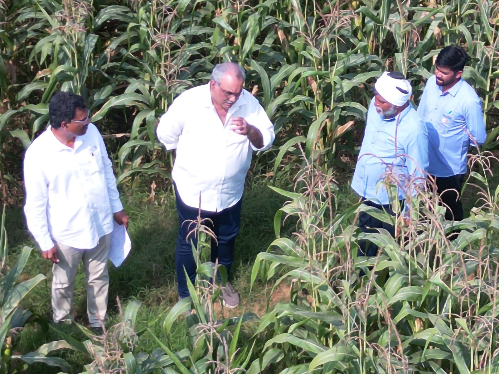 Mr. SBP Pattabhi Rama Rao, Managing Director, Gourmet Popcornica in the corn fields Mr. SBP Pattabhi Rama Rao, Managing Director, Gourmet Popcornica in the corn fields
