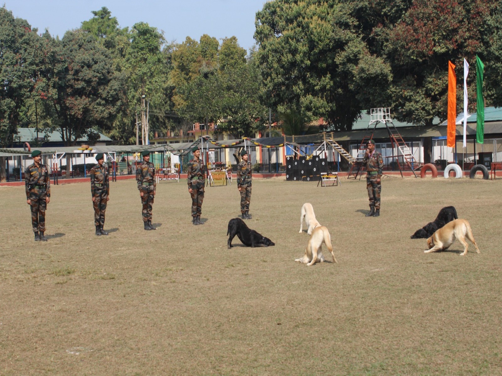 Assam Rifles showcases prowess of its canines at Jorhat  (Photo/X/@official_dgar)