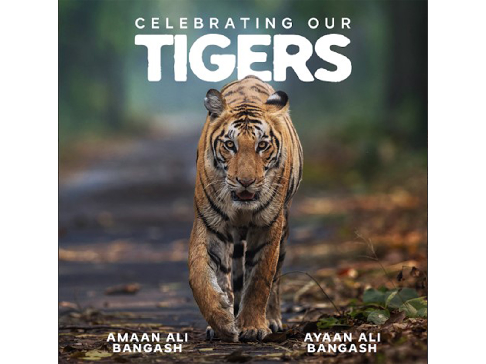 Cover of album ‘Celebrating Our Tigers’ (Image source: Musicians' team)