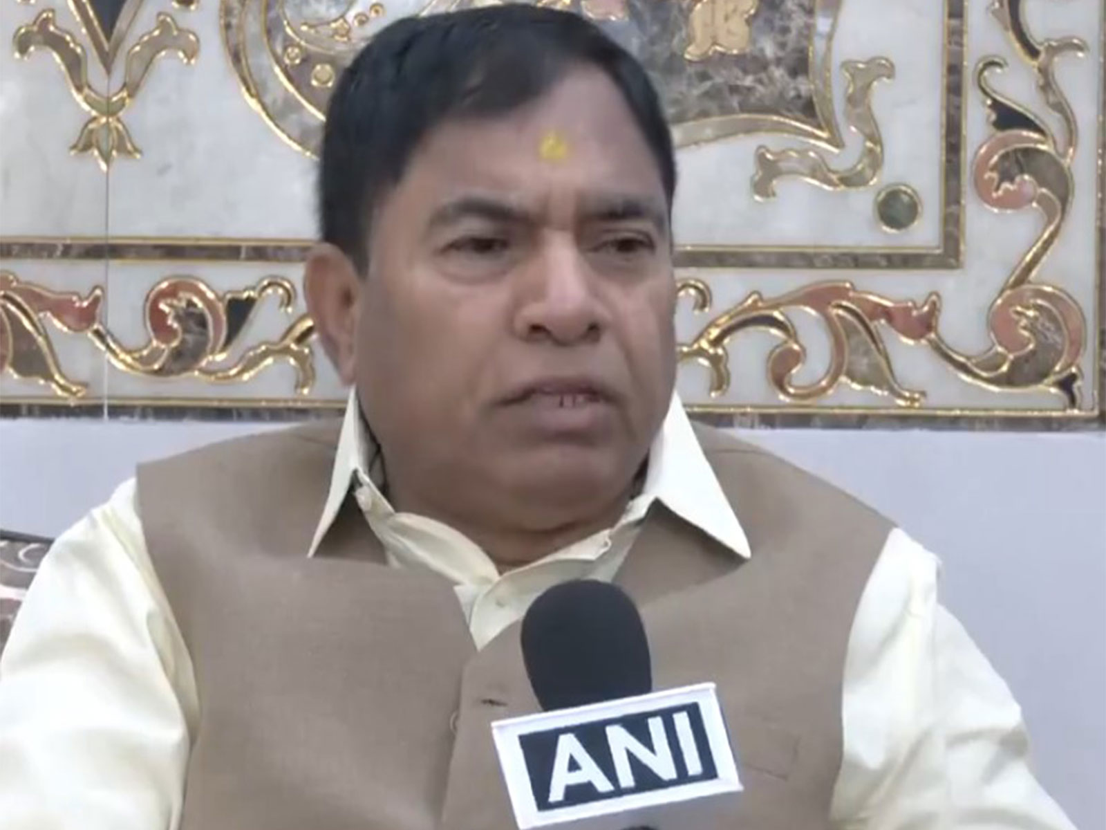 BJP MP Yogendra Chandolia (Photo: ANI)