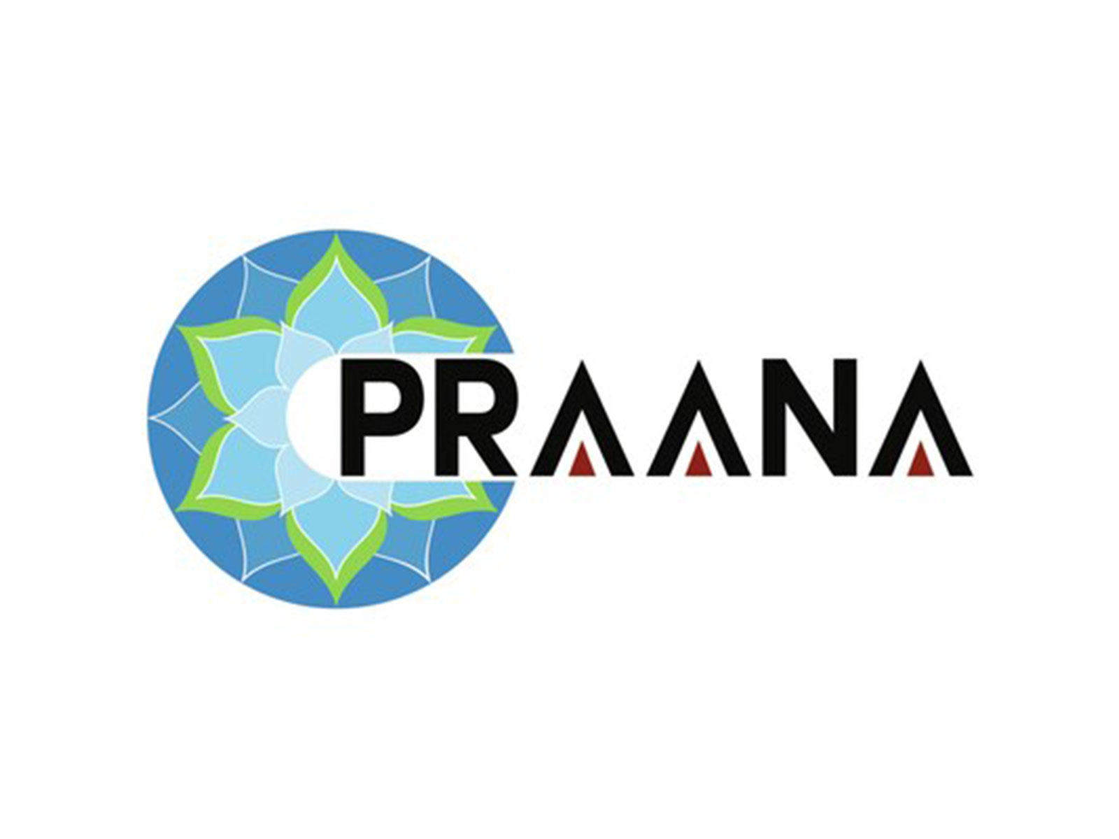 Praana Group Logo Praana Group Logo