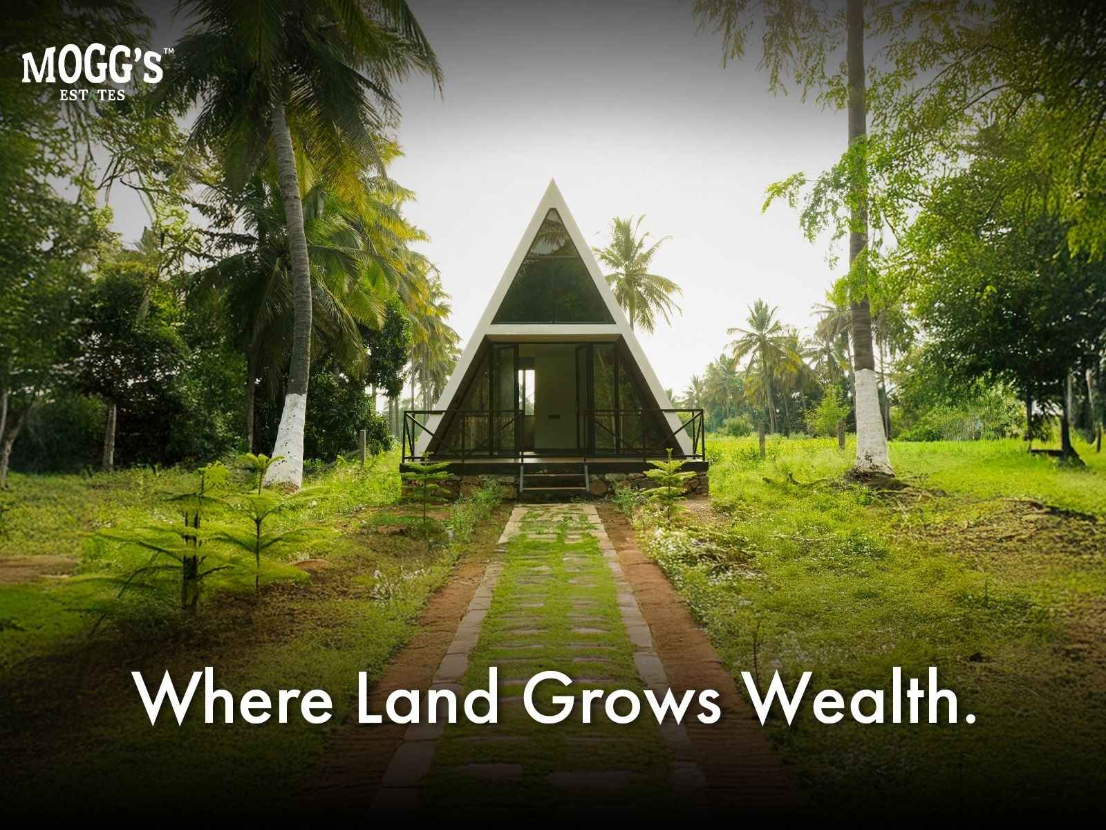 Why Mogg’s Estates Is Setting the Benchmark for Managed Farmland Investment in Karnataka